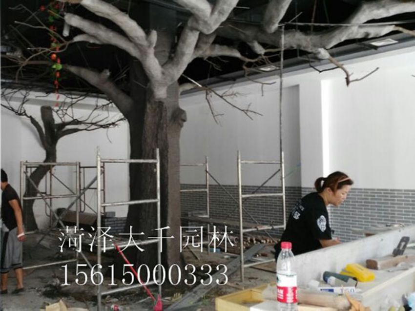 點擊查看詳細信息<br>標題：假樹 閱讀次數(shù)：1261